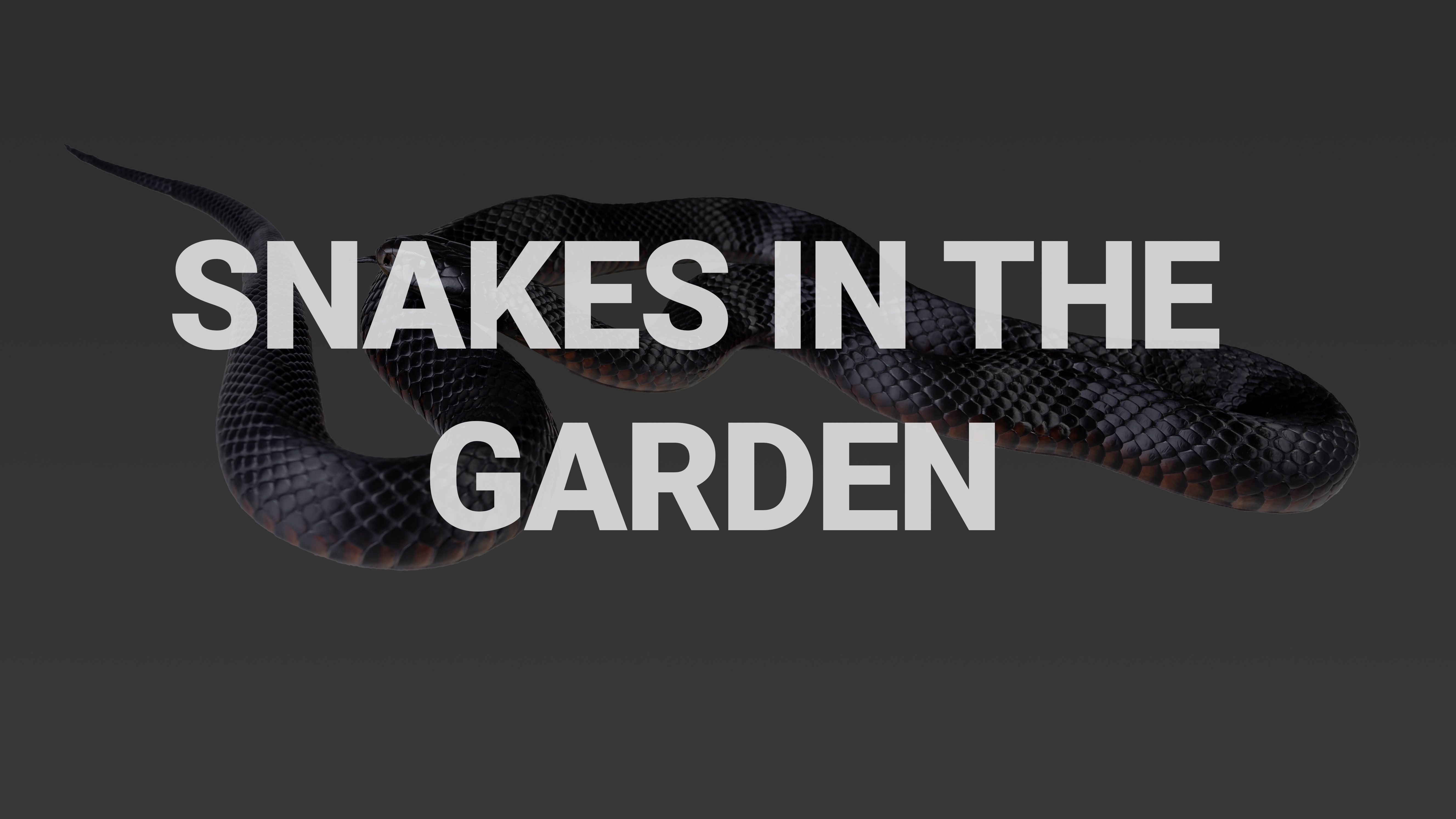 The Snakes in Our Garden